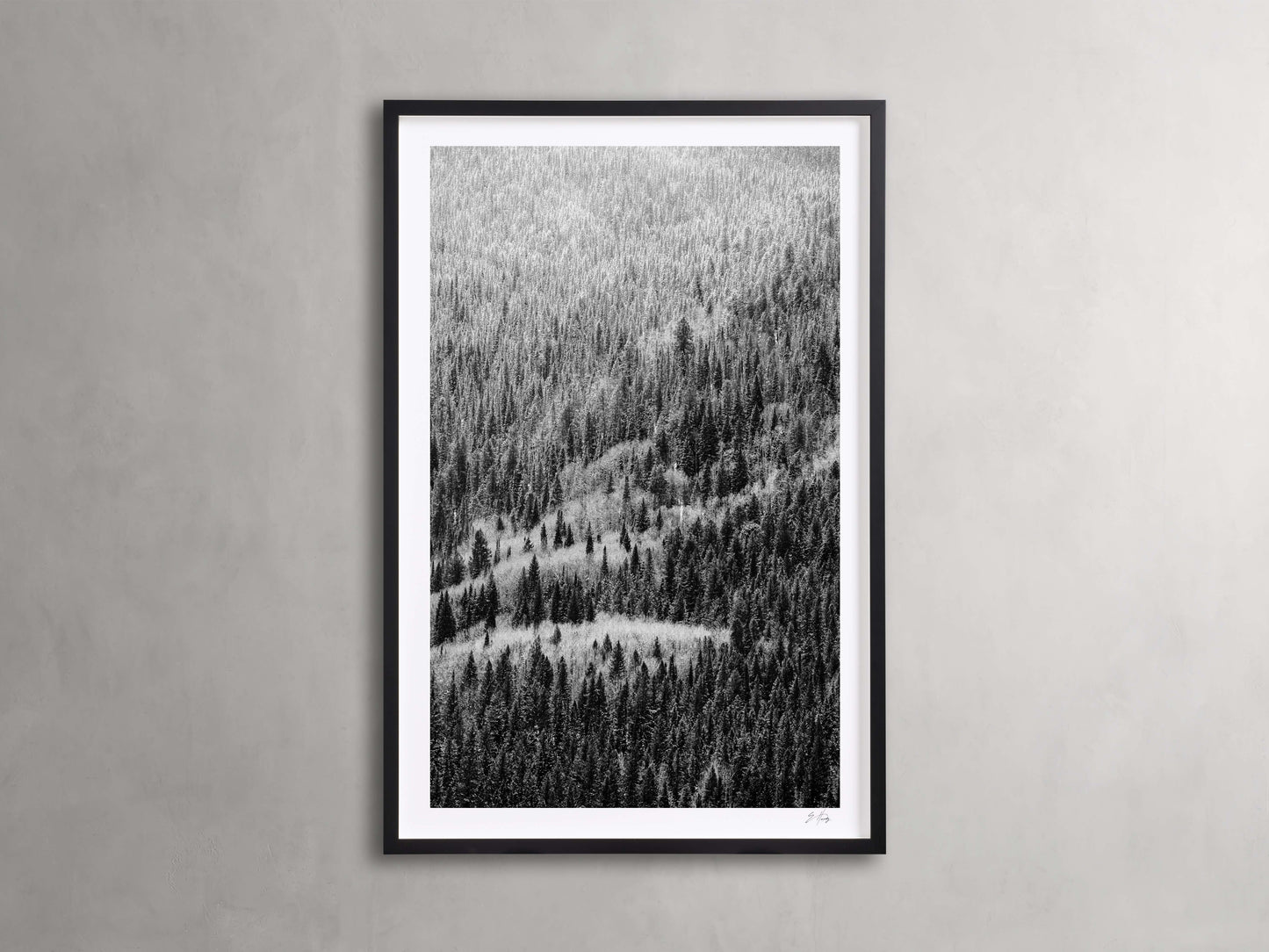 Aspen Allure II Framed Print