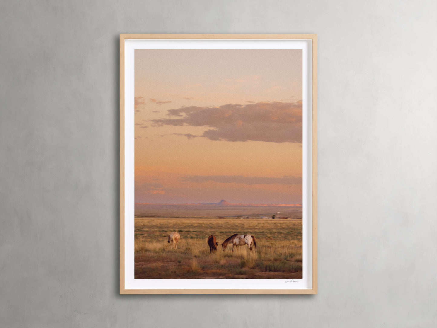 The Great Plains IV Framed Print