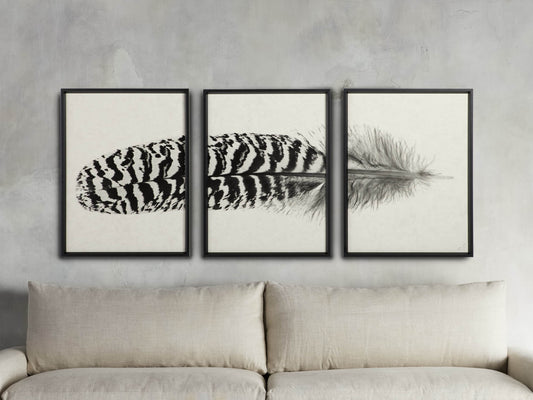 Peacock Feather Framed Print (Set of 3)
