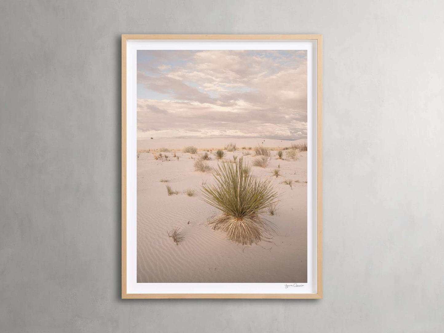 Desert Serenity Framed Print