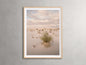 Desert Serenity Framed Print