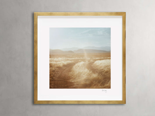 Golden Hour Framed Print
