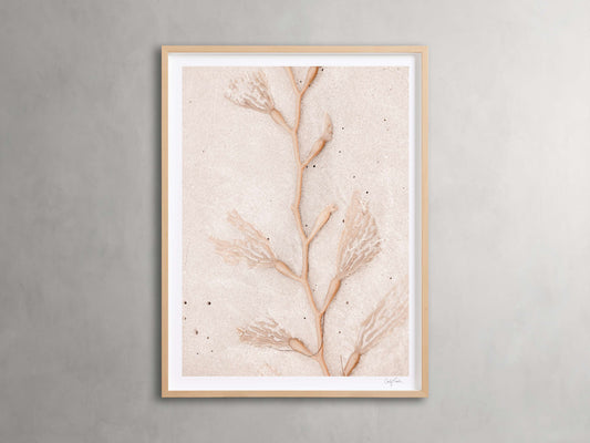 Coastal Radiance Framed Print