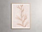 Coastal Radiance Framed Print