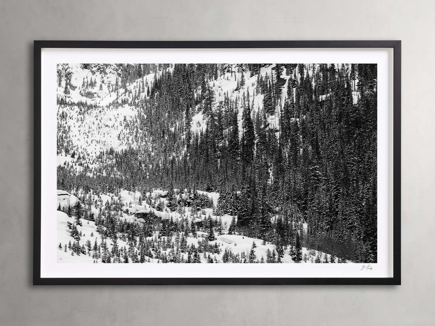 Aspen Allure I Framed Print