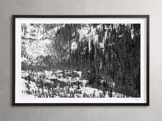 Aspen Allure I Framed Print