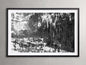 Aspen Allure I Framed Print