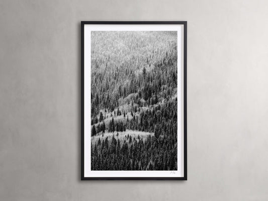 Aspen Allure II Framed Print