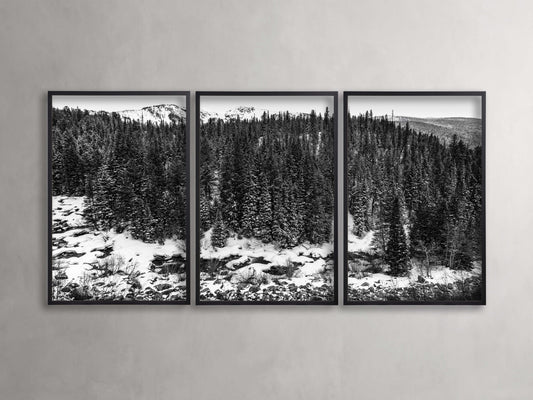 Aspen Allure III Framed Print (Set of 3)