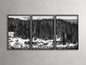 Aspen Allure III Framed Print (Set of 3)