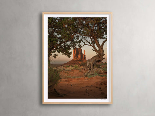Golden Peaks II Framed Print