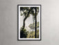 Iguacu Framed Print