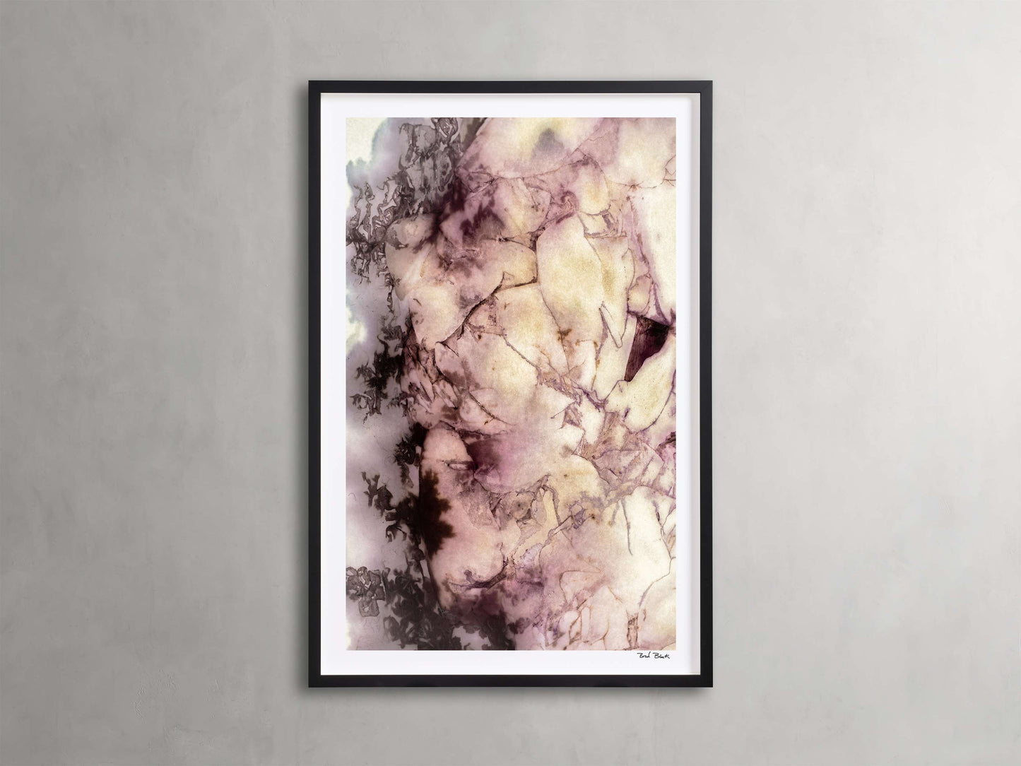 Peony Universe Framed Print