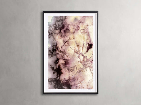 Peony Universe Framed Print