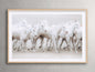 Stampede Framed Print