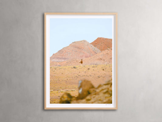 The Great Plains II Framed Print