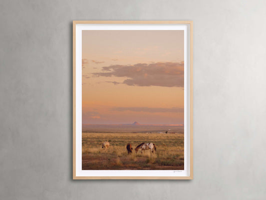 The Great Plains IV Framed Print