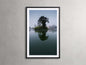 Trees & Shadows II Framed Print