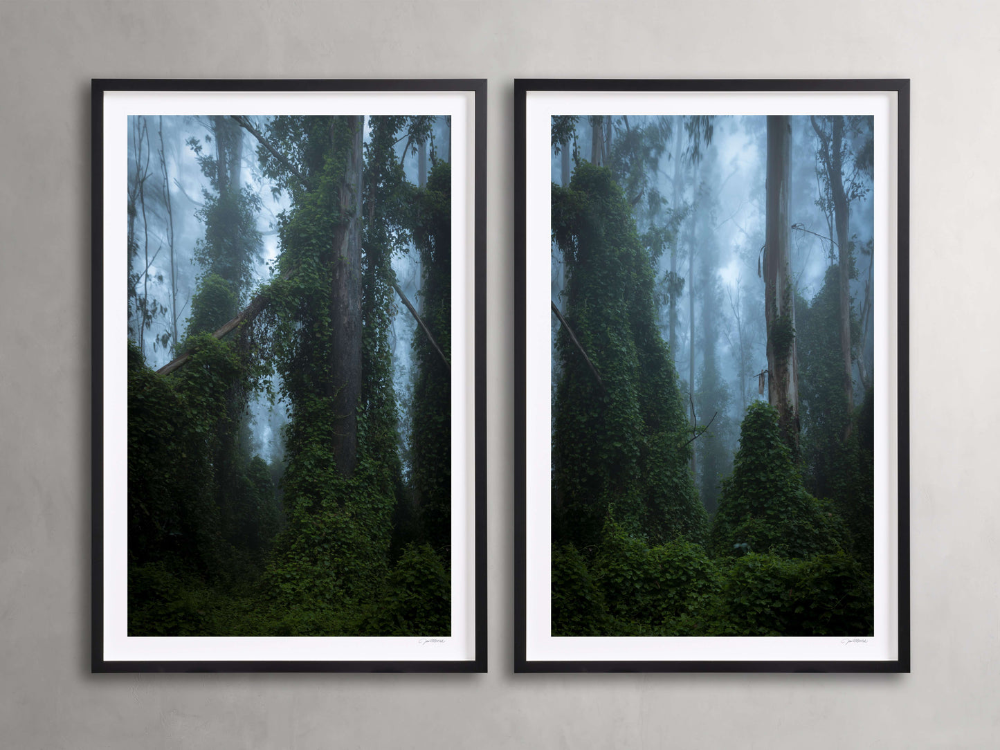 Trees & Shadows III Framed Print (Set of 2)