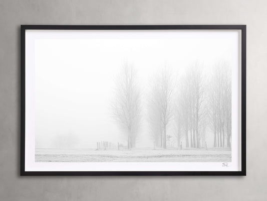 Winter I Framed Print