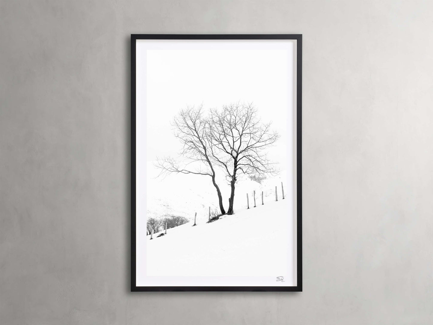 Winter II Framed Print