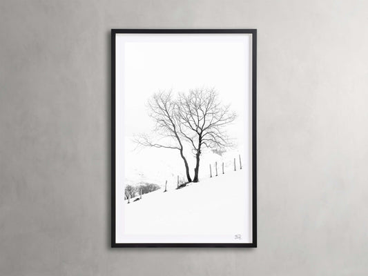 Winter II Framed Print