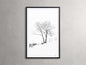 Winter II Framed Print