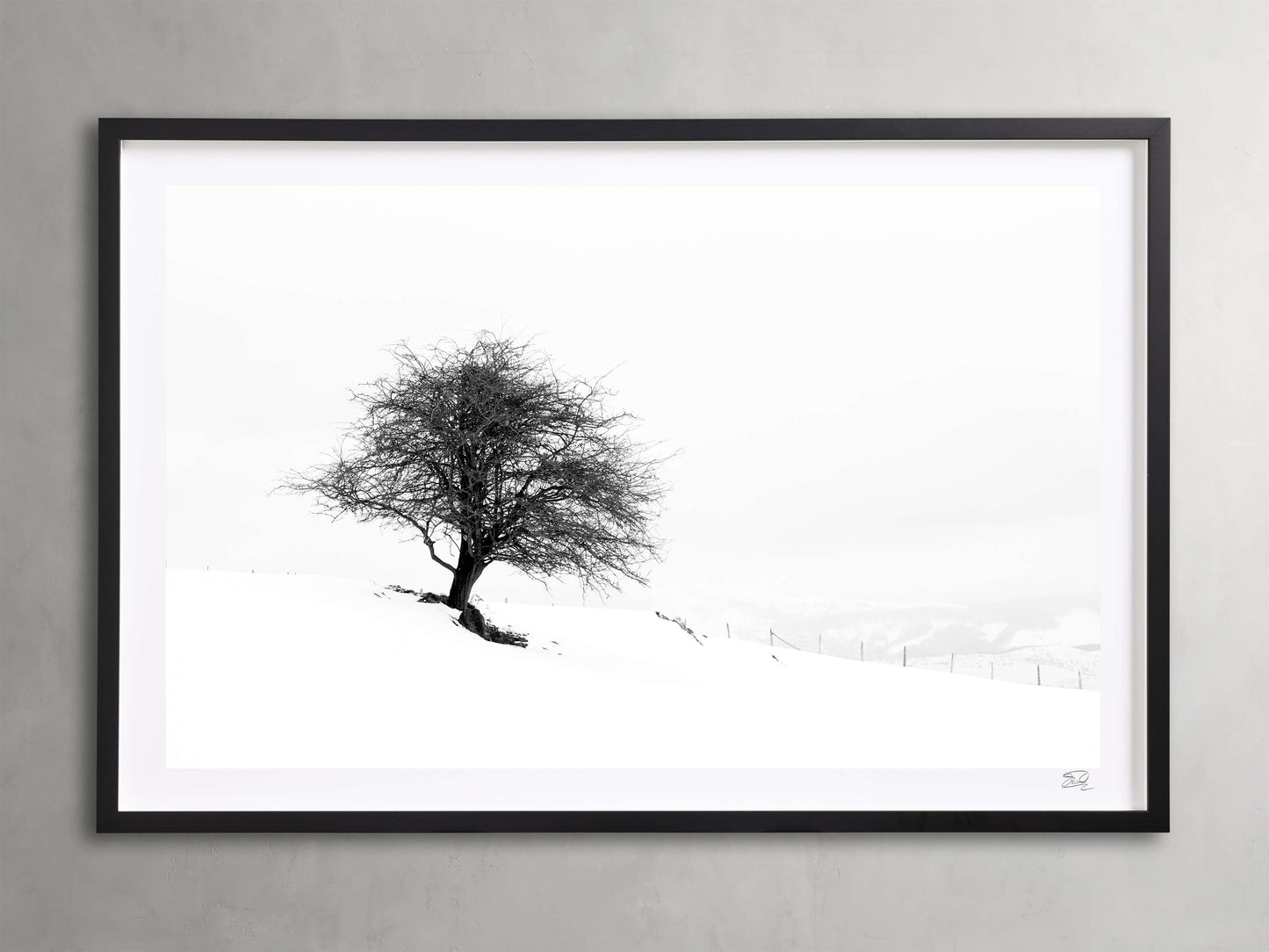 Winter III  Framed Print