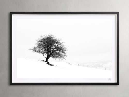 Winter III  Framed Print