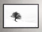 Winter III  Framed Print