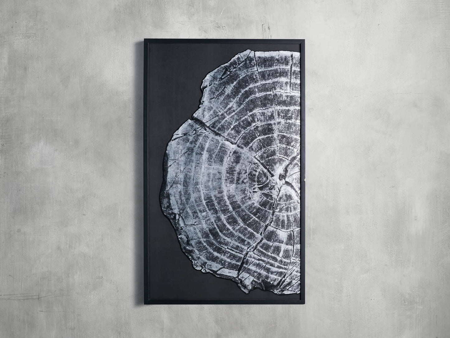 Tree Ring I Framed Print
