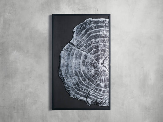 Tree Ring I Framed Print