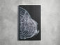 Tree Ring II Framed Print