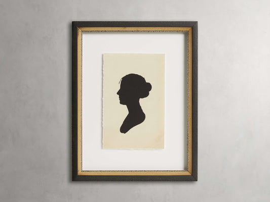 Shadow Framed Print