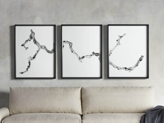 Branch Framed Print (Set of 3)
