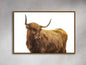 Highland Framed Print