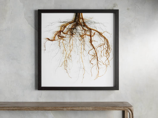 Roots Framed Print