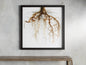 Roots Framed Print
