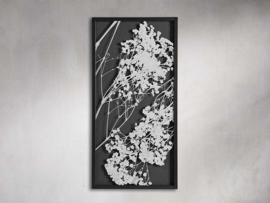 Baby's Breath II Framed Print