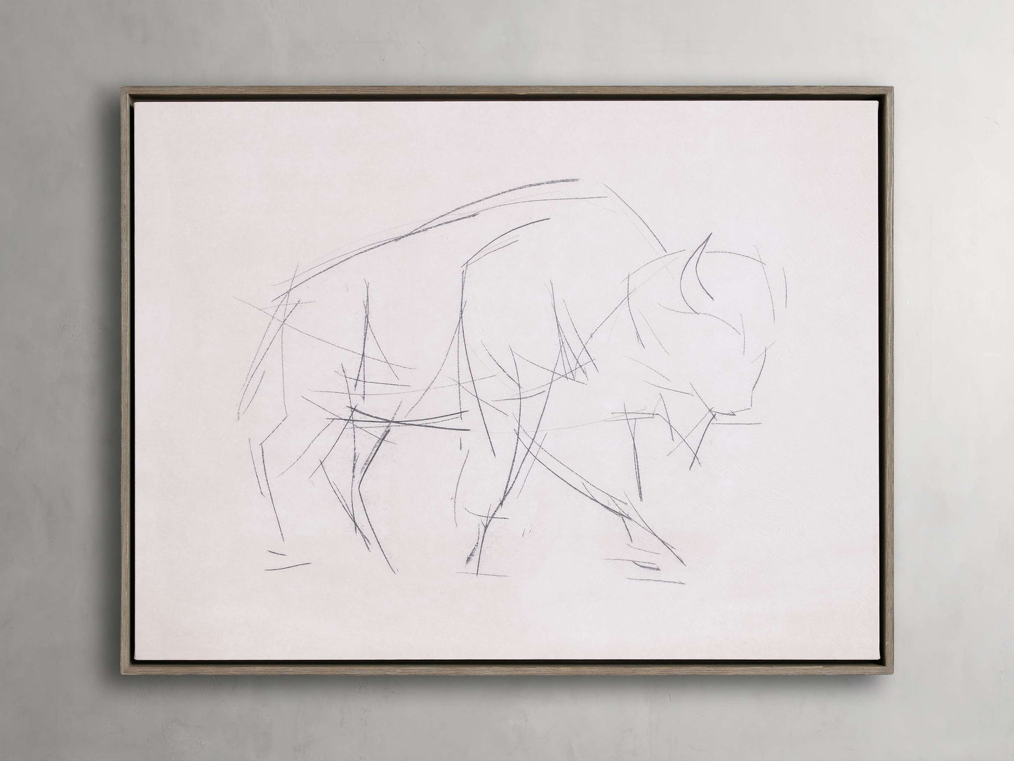 Bison Study Framed Print