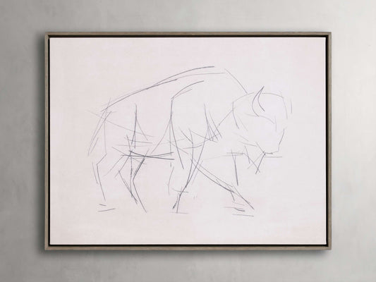 Bison Study Framed Print