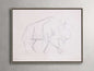 Bison Study Framed Print