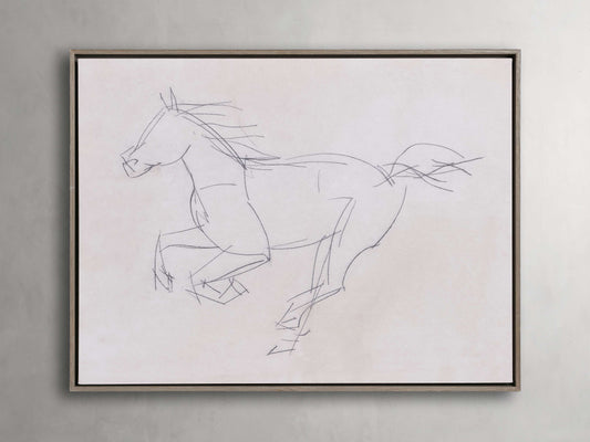 Equine Study Framed Print