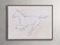 Equine Study Framed Print