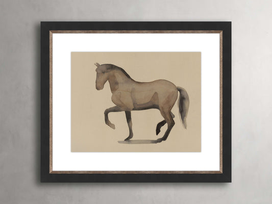 Rustic Portraits II Framed Print
