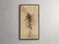 Sienna Dreams II Framed Print
