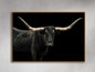 Longhorn Framed Print