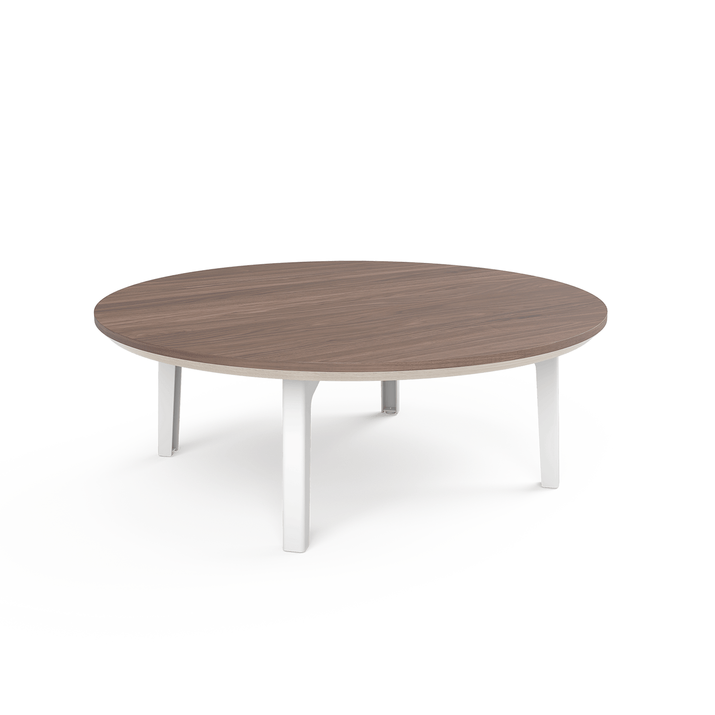 The Coffee Table