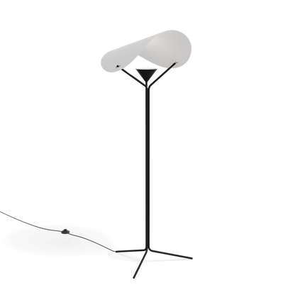 The Y-Lamp