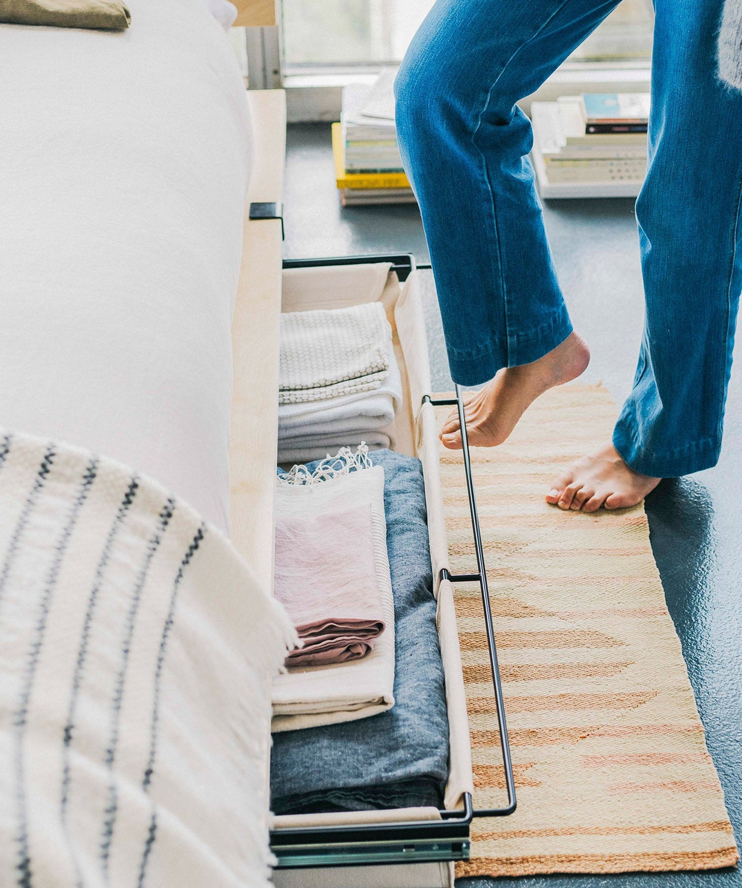 Underbed Storage